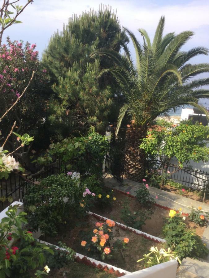 Panorama Apartments Πλωμάρι Εξωτερικό φωτογραφία